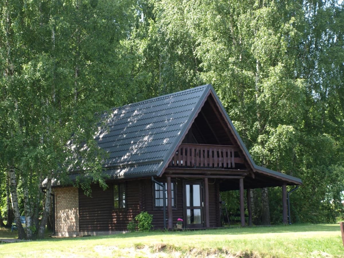 Фермерские дома Wieża marzeń Dąbrowa Białostocka